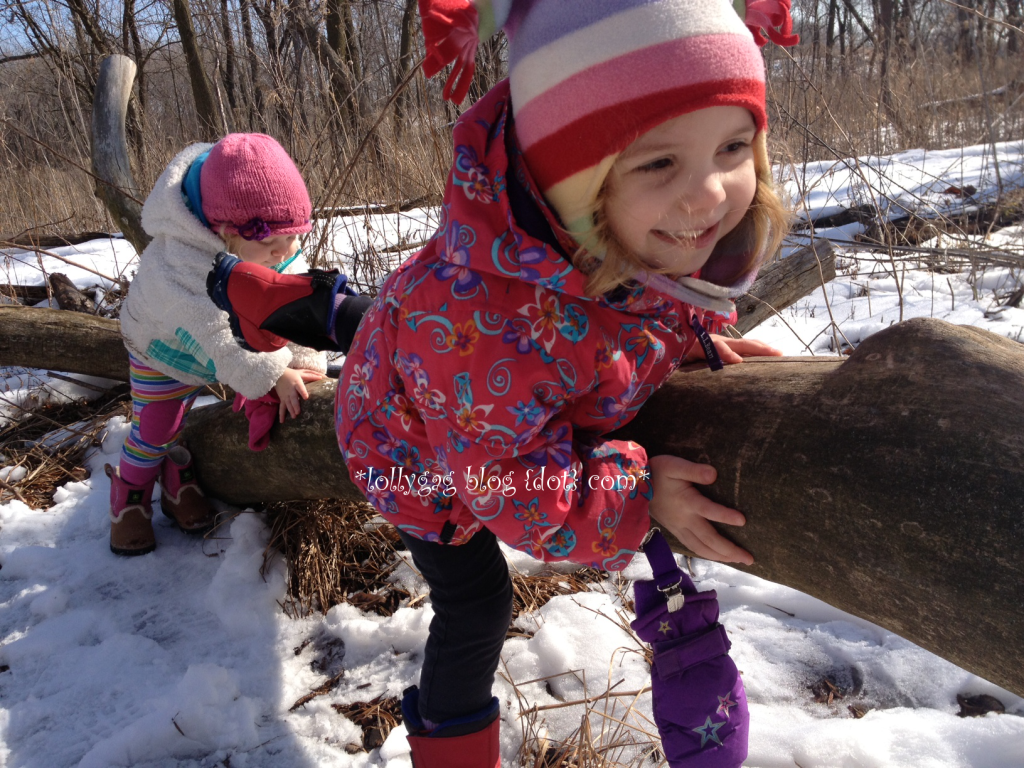 forest preserve chicago