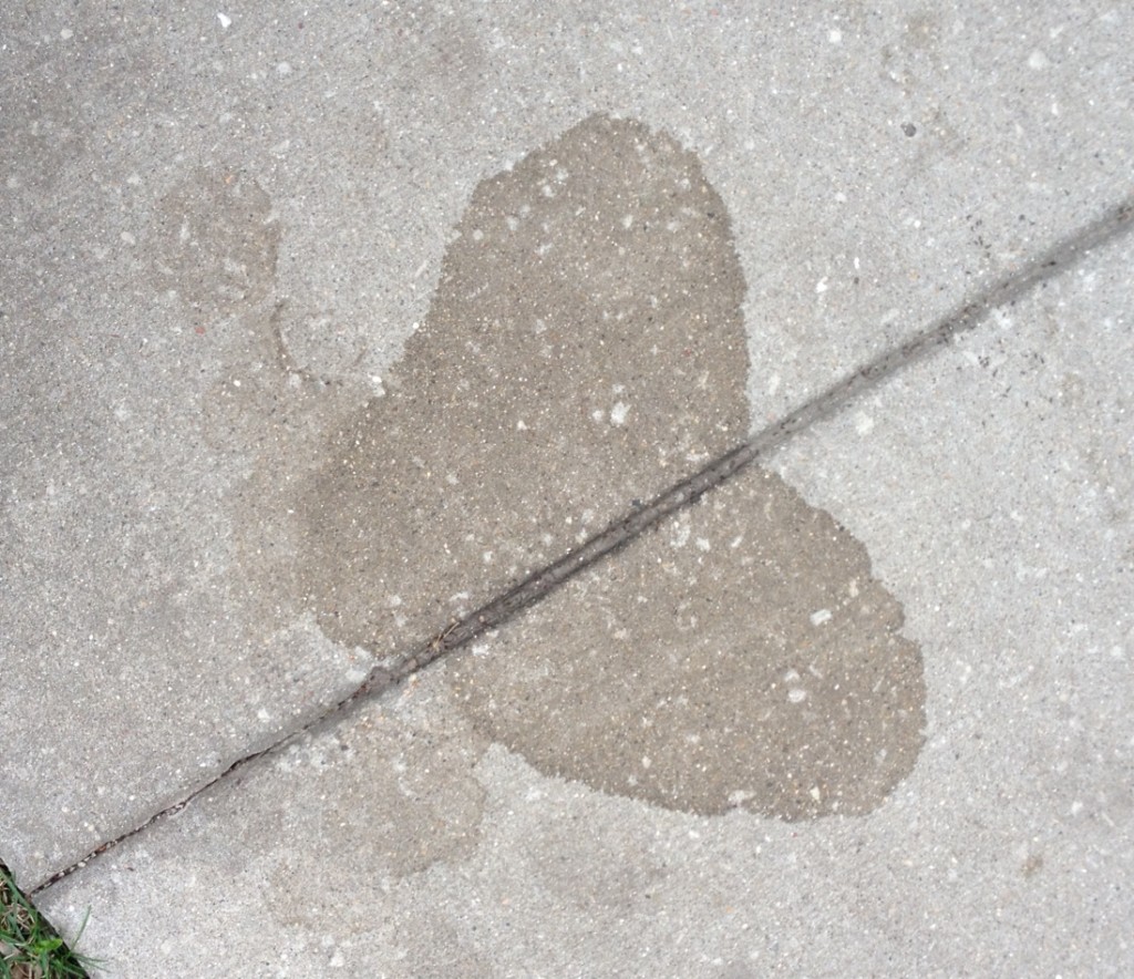 sidewalk heart