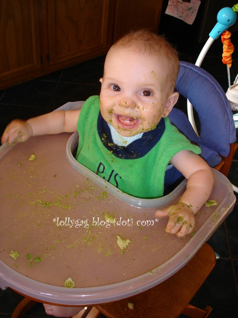 nora food highchair