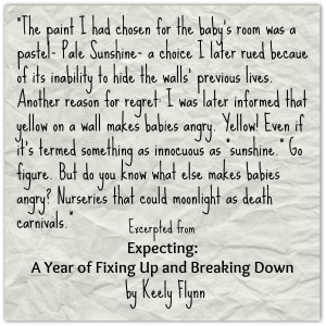 A Giveaway For Expecting: A Year of Fixing Up And Breaking Down. Now In Nook Form, Too!