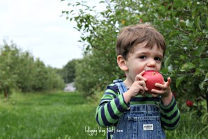 Parental failure: Apple orchard edition.