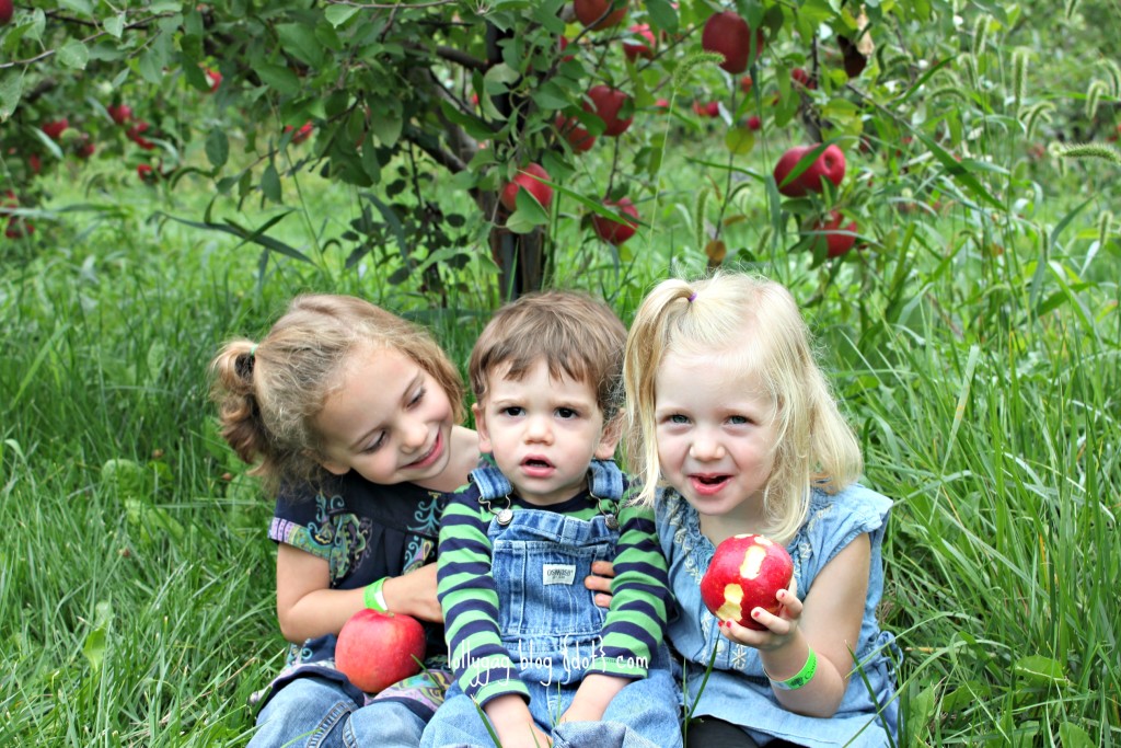 kids orchard